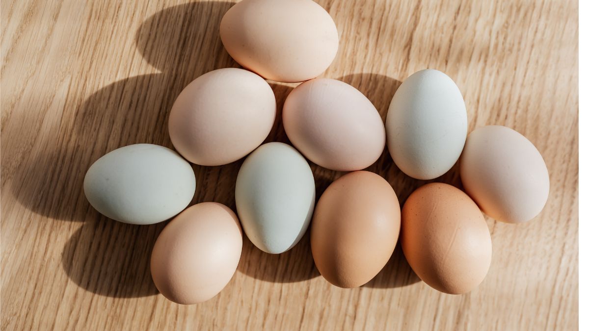 Telur Mudah Dimasak Dan Kaya Khasiat