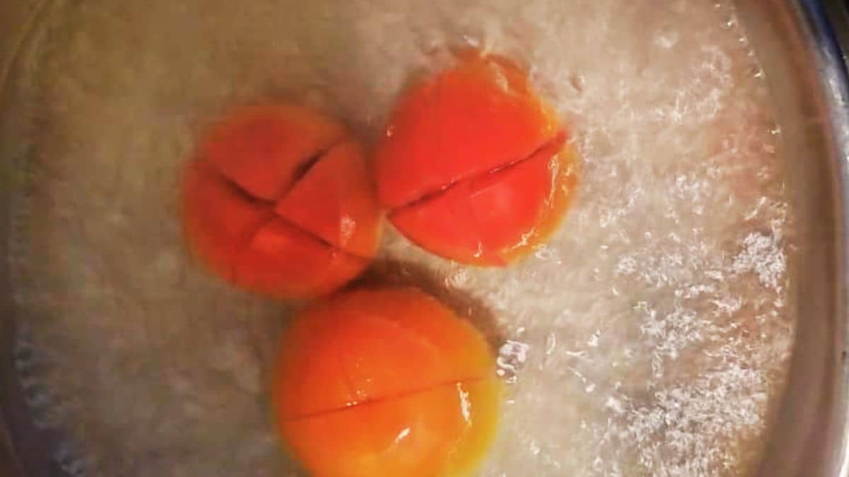 Resepi Telur Tomato Mudah, Cepat Dan Sedap. Sesuai Untuk Anak-Anak
